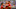 Liga MX M5 wrap Liga MX M5 wrap