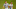DraftKings DraftKings