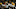 Packers predictions, Rashan Gary Packers predictions, Rashan Gary