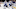 Toronto Maple Leafs Toronto Maple Leafs