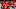 Detroit Red Wings Detroit Red Wings