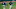 Manny Acta, Seattle Mariners, MLB coaching staffs, MLB managers Manny Acta, Seattle Mariners, MLB coaching staffs, MLB managers