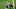 HOUSTON, TX – FEBRUARY 05: James White HOUSTON, TX – FEBRUARY 05: James White