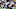 New England Patriots New England Patriots