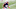 New England Patriots