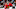 CHICAGO, IL – NOVEMBER 30: Cody Franson CHICAGO, IL – NOVEMBER 30: Cody Franson