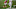 2021 nfl draft, shaun wade, houston texans