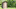 28470710-Old-wooden-outhouse-for-tourists-at-a-forest--Stock-Photo 28470710-Old-wooden-outhouse-for-tourists-at-a-forest--Stock-Photo