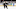 Blue Jackets Blue Jackets
