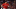 Bobby Dalbec, Boston Red Sox Bobby Dalbec, Boston Red Sox