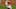 Philadelphia Phillies Spencer Howard