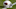 Nov 4, 2012; Green Bay, WI, USA; An Arizona Cardinals helmet sits on the field during warmups prior to the game against the Green Bay Packers at Lambeau Field. The Packers defeated the Cardinals 31-17. Mandatory Credit: Jeff Hanisch-USA TODAY Sports Nov 4, 2012; Green Bay, WI, USA; An Arizona Cardinals helmet sits on the field during warmups prior to the game against the Green Bay Packers at Lambeau Field. The Packers defeated the Cardinals 31-17. Mandatory Credit: Jeff Hanisch-USA TODAY Sports