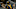 Cal Football - Davis Webb Cal Football - Davis Webb
