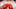 Portland Trail Blazers Portland Trail Blazers