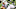 FOXBORO, MA – DECEMBER 24: Bryce Petty FOXBORO, MA – DECEMBER 24: Bryce Petty