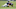 Matt Schaub Matt Schaub