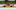 NASCAR Cup Series driver Dale Earnhardt Jr NASCAR Cup Series driver Dale Earnhardt Jr