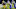Green Bay Packers