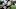 Leonard Floyd Chicago Bears Leonard Floyd Chicago Bears