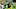 Davante Adams, Jimmie Ward, Green Bay Packers, San Francisco 49ers