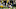 Minnesota Vikings, Pro Bowl Minnesota Vikings, Pro Bowl