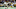 Green Bay Packers Green Bay Packers