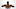 Sep 26, 2016; Chicago, IL, USA; Chicago Bulls guard Dwayne Wade (3) poses for a photo during Bulls media day at The Advocate Center. Mandatory Credit: David Banks-USA TODAY Sports Sep 26, 2016; Chicago, IL, USA; Chicago Bulls guard Dwayne Wade (3) poses for a photo during Bulls media day at The Advocate Center. Mandatory Credit: David Banks-USA TODAY Sports