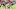 Kansas City Chiefs wide receiver Chris Conley Kansas City Chiefs wide receiver Chris Conley