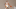 Discover Fathead's Kobe Bryant wall decal at Fanatics. Discover Fathead's Kobe Bryant wall decal at Fanatics.