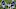 Tennessee Titans Tennessee Titans