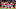 Arsenal, MA Arsenal, MA