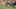 Baker Mayfield, Cleveland Browns Baker Mayfield, Cleveland Browns