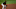 MLB Pittsburgh Pirates Ke'Bryan Hayes MLB Pittsburgh Pirates Ke'Bryan Hayes