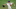 Yankees trade rumors, Zack Wheeler Yankees trade rumors, Zack Wheeler
