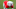 Georgia Football