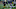 Notre Dame football Notre Dame football