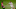 Real Madrid Luka Modric