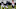 2022 NFL mock draft, Rasheed Walker, 2022 NFL Draft 2022 NFL mock draft, Rasheed Walker, 2022 NFL Draft