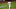 Michael Brantley, Houston Astros Michael Brantley, Houston Astros