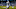 Houston Texans draft target Houston Texans draft target