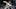(Photo by Ronald Martinez/Getty Images) – Los Angeles Dodgers (Photo by Ronald Martinez/Getty Images) – Los Angeles Dodgers