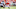 Clemson football Clemson football