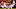 Ryan Bujcevski, Texas Football Ryan Bujcevski, Texas Football