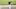 MELBOURNE, AUSTRALIA – NOVEMBER 25: Gaganjeet Bhullar of India plays a shot from the bunker during day four of the 2018 World Cup of Golf at The Metropolitan on November 25, 2018 in Melbourne, Australia. (Photo by Robert Cianflone/Getty Images) MELBOURNE, AUSTRALIA – NOVEMBER 25: Gaganjeet Bhullar of India plays a shot from the bunker during day four of the 2018 World Cup of Golf at The Metropolitan on November 25, 2018 in Melbourne, Australia. (Photo by Robert Cianflone/Getty Images)