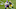 GREEN BAY, WISCONSIN – NOVEMBER 01: Adam Thielen #19 of the Minnesota Vikings catches a pass in front of Josh Jackson #37 of the Green Bay Packers during a game at Lambeau Field on November 01, 2020 in Green Bay, Wisconsin. The Vikings defeated the Packers 28-22. (Photo by Stacy Revere/Getty Images) GREEN BAY, WISCONSIN – NOVEMBER 01: Adam Thielen #19 of the Minnesota Vikings catches a pass in front of Josh Jackson #37 of the Green Bay Packers during a game at Lambeau Field on November 01, 2020 in Green Bay, Wisconsin. The Vikings defeated the Packers 28-22. (Photo by Stacy Revere/Getty Images)