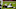Former Houston Texans QB David Carr Former Houston Texans QB David Carr