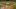 gif2 gif2