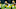 Green Bay Packers Green Bay Packers