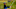 FedEx Cup Daniel Berger FedEx Cup Daniel Berger