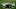 Brazil are the pre-tournament favourites. (Photo by Jonathan Moscrop/Getty Images) Brazil are the pre-tournament favourites. (Photo by Jonathan Moscrop/Getty Images)
